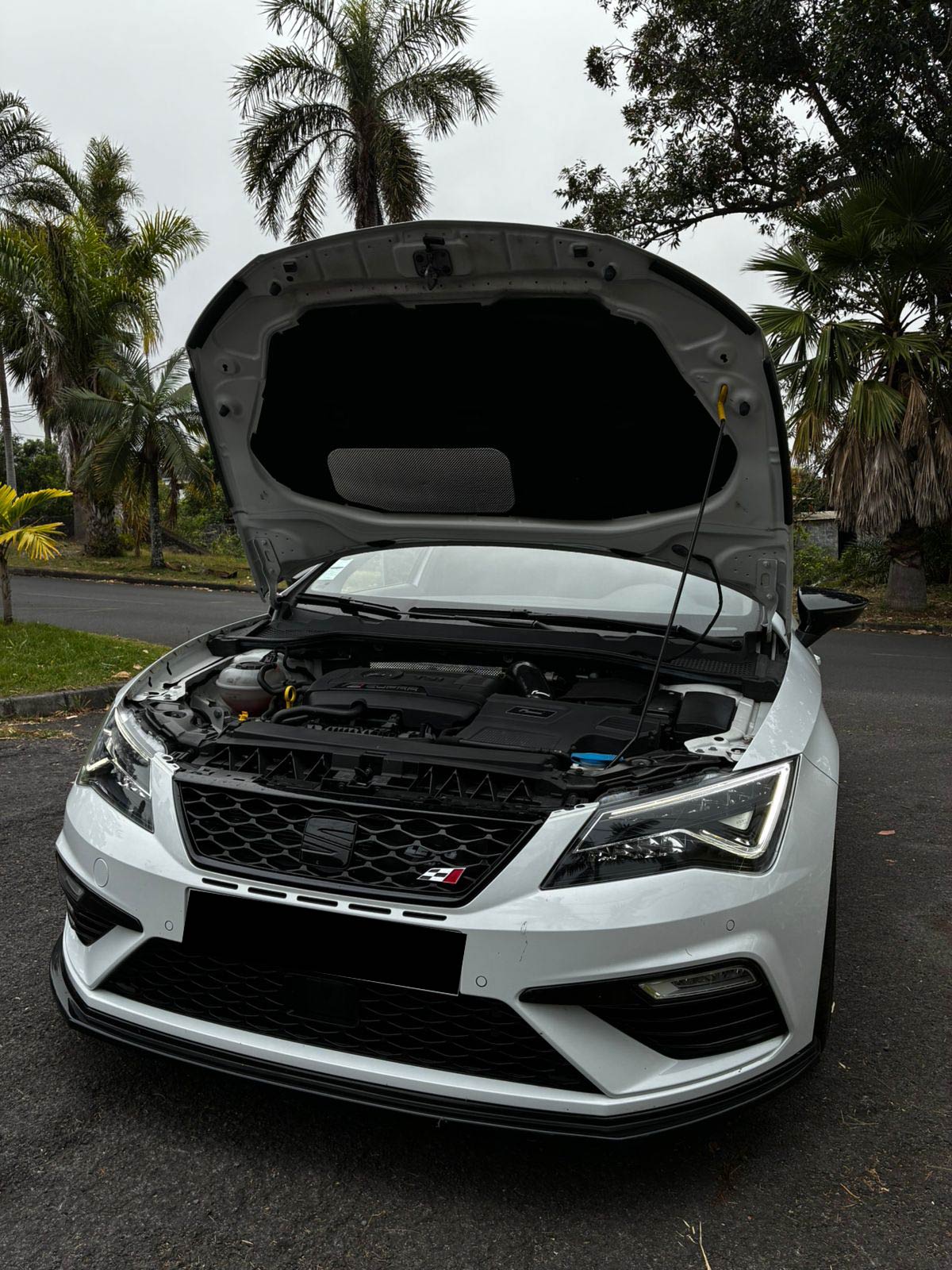 SEAT Leon Cupra 300 – Compacte Sportive Essence, Faible Kilométrage ; État Impeccable
